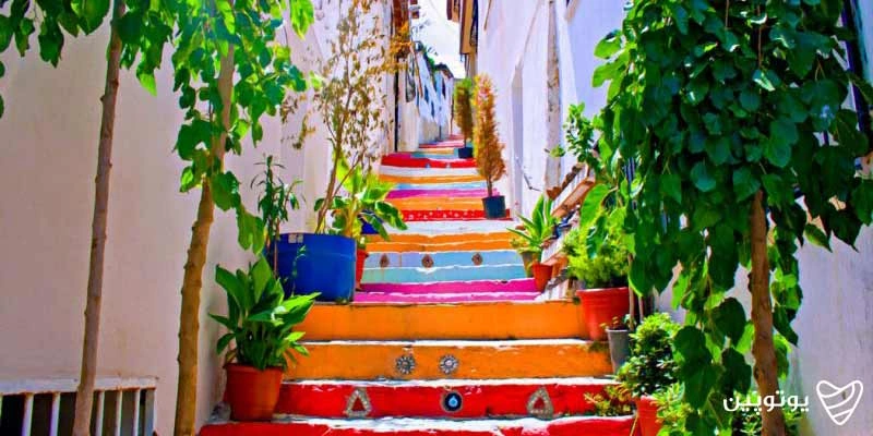 کوش آداسی