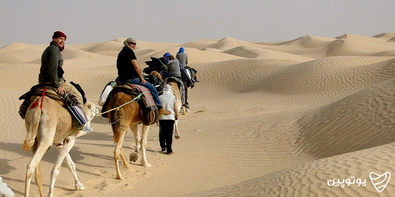شترسواری در تونس