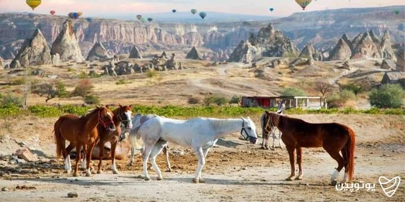 تور کاپادوکیا