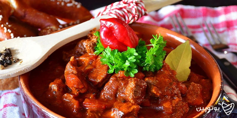 غذای مجارستانی